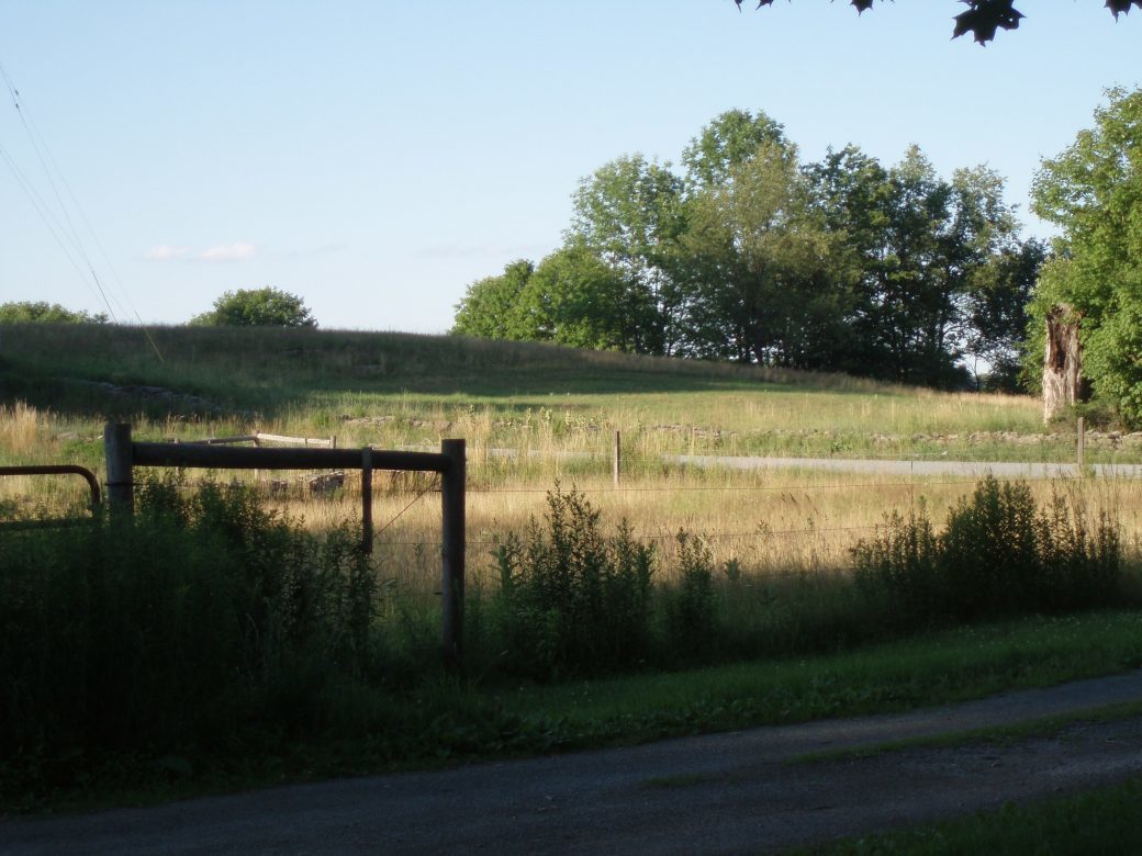 
				The field across the road from the Cobalt House		